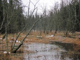 �����������, 4 ������ 2012