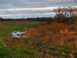 �����������, 10 ������ 2012