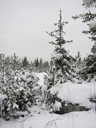 ���������, 12 ������� 2012