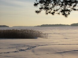 �����, ���������, 26 ������� 2012