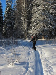 �����������, 26 ������ 2013