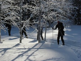 �����������, 26 ������ 2013