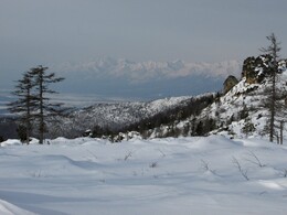 ����-������� ������, ����� ����� ������������ ������, 13 ����� 2013