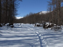 ����-������� ������, 19 ����� 2013