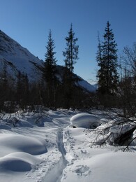 ����-������� ������, 23 ����� 2013