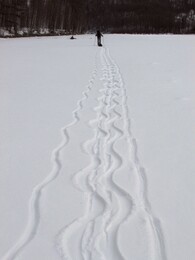 ����-������� ������, 25 ����� 2013