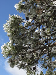 �����, ���������, 8 ������ 2013