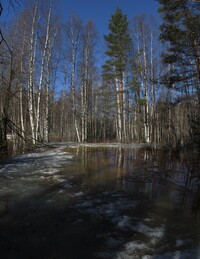 ���������, 20 ������ 2013