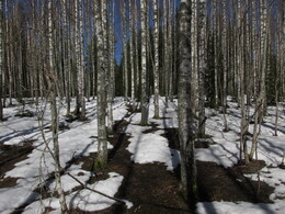 ���������, 20 ������ 2013