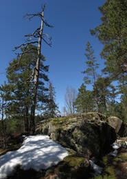 ���������, 20 ������ 2013