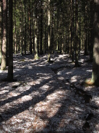 ���������, 20 ������ 2013