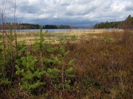 ���������, 5 ��� 2013