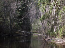 ���������, 11 ��� 2013