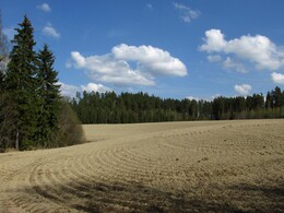 ���������, 11 ��� 2013