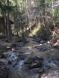 ���������, 11 ��� 2013