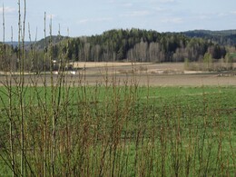 ���������, 11 ��� 2013