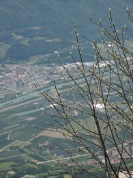 ������, ������, 1 ���� 2013