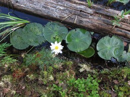 ���������, 6 ���� 2013