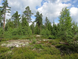 ���������, 6 ���� 2013