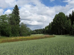 ���������, 21 ���� 2013