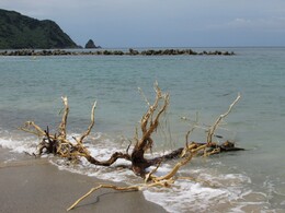 �����, Matsue, ������, 4 ������� 2013