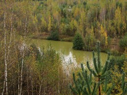 �����������, 28 �������� 2013