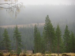 �������� ���������, 4 ������� 2013