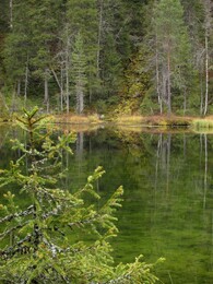 �������� ���������, 4 ������� 2013