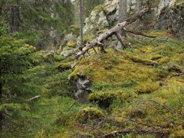 �������� ���������, 4 ������� 2013