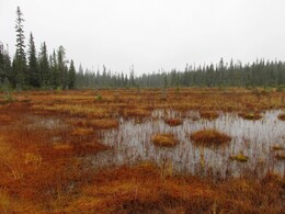 �������� ���������, 5 ������� 2013