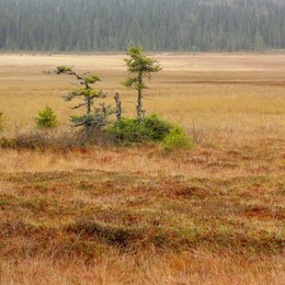 �������� ���������, 5 ������� 2013