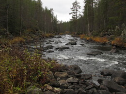 �������� ���������, 6 ������� 2013