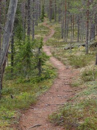 �������� ���������, 6 ������� 2013