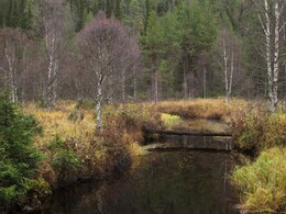 �������� ���������, 7 ������� 2013