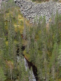 ������ ��������, �������� ���������, 7 ������� 2013