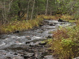 �������� ���������, 7 ������� 2013