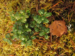 �������� ���������, 7 ������� 2013