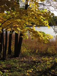 �����, ���������, 12 ������� 2013