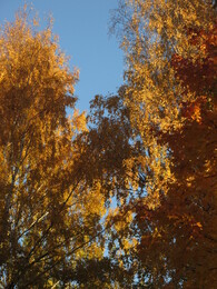 �����, ���������, 12 ������� 2013