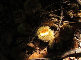 �����, ����������, 20 ������� 2013