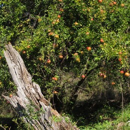 ���������� ����, �����, ����������, 20 ������� 2013