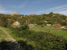 ����������, 21 ������� 2013