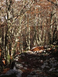 ����������, 22 ������� 2013