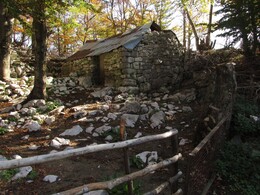 ����������, 22 ������� 2013