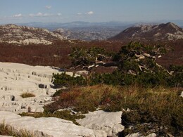 ����������, 22 ������� 2013