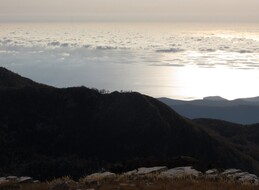 ����������, 22 ������� 2013