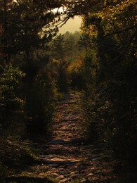 ����������, 22 ������� 2013