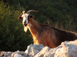 ����������, 23 ������� 2013