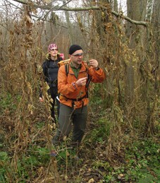 �����������, 26 ������� 2013