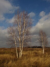 �����������, 2 ������ 2013